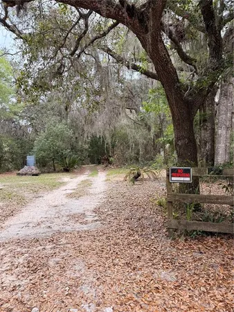 a view of a yard with a tree