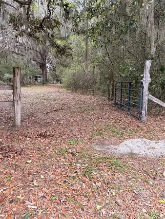 a view of a trees with a yard