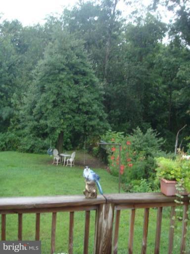 8420 Allison Lane Rosedale, MD 21237 - Photo 11 of 16 Deck - View from
