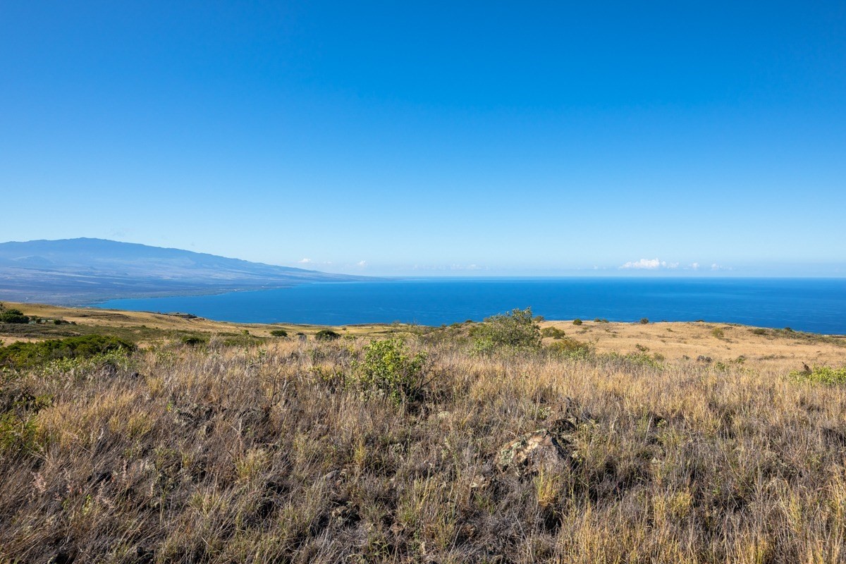 59-1131 Kohala Ranch Road Kamuela, HI 96743 - Photo 3 of 6 Gallery Image 3