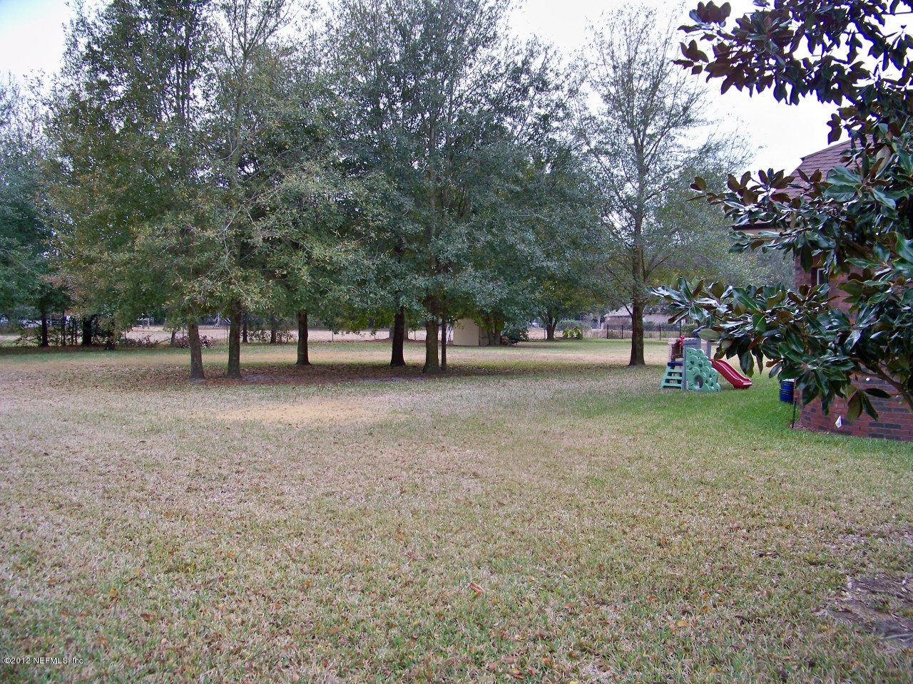 1079 Morning Stroll Lane Jacksonville, FL 32221 - Photo 3 of 27 backyard