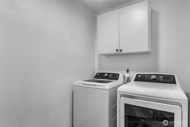 a backyard of a house with plants and large tree