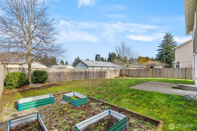 a view of a backyard with plants and large tree