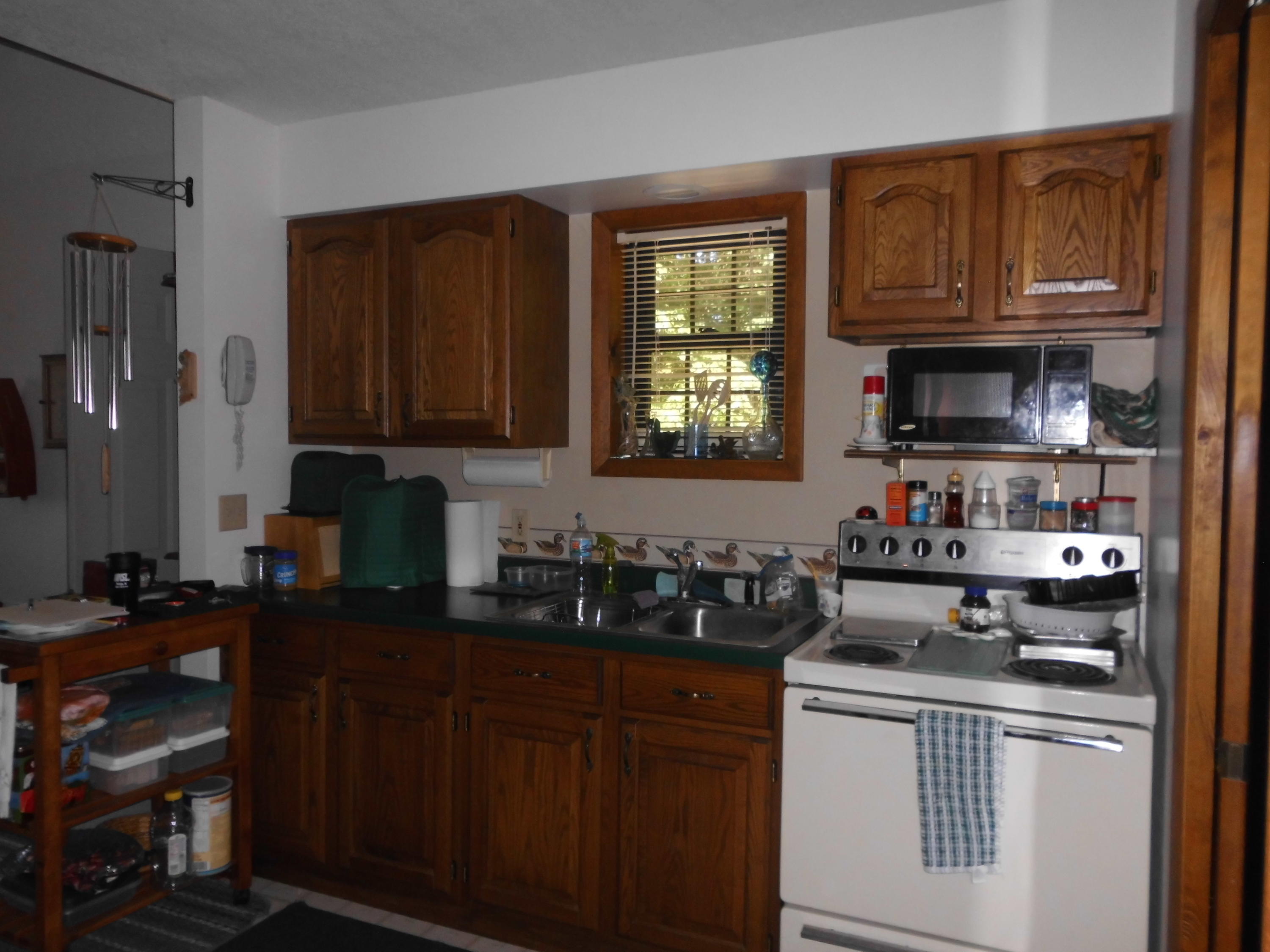 3056 North Old Place Road Moran, MI 49760 - Photo 16 of 39 Gallery Image 16