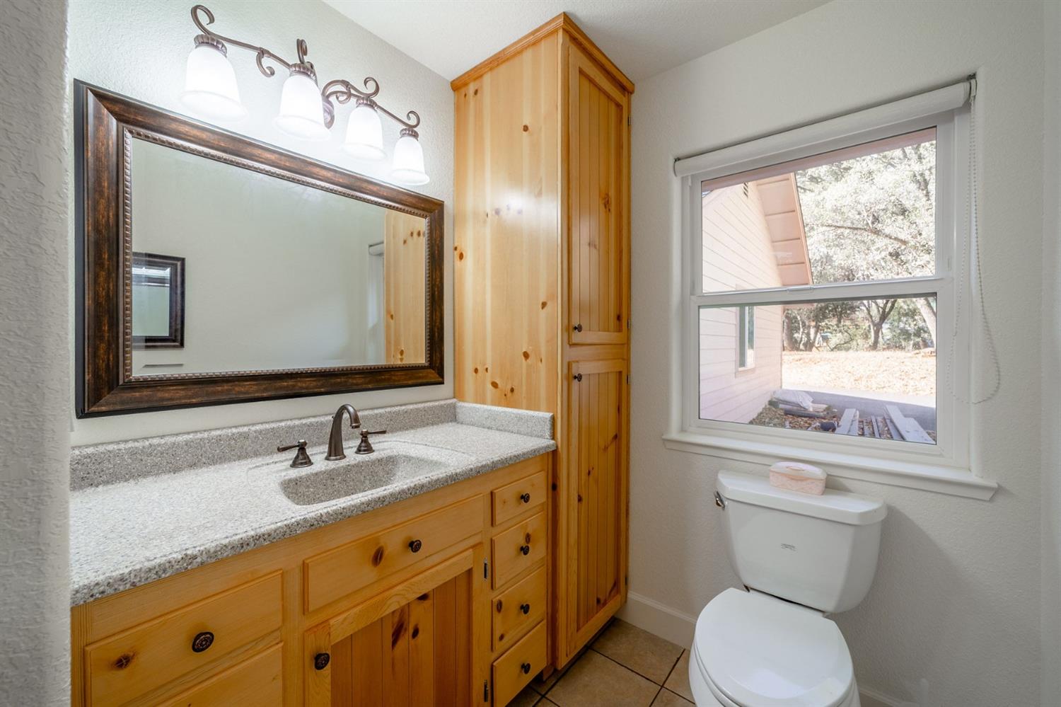 11545 Rocher Court Columbia, CA 95310 - Photo 32 of 49 a bathroom with a toilet a sink a mirror a window and vanity
