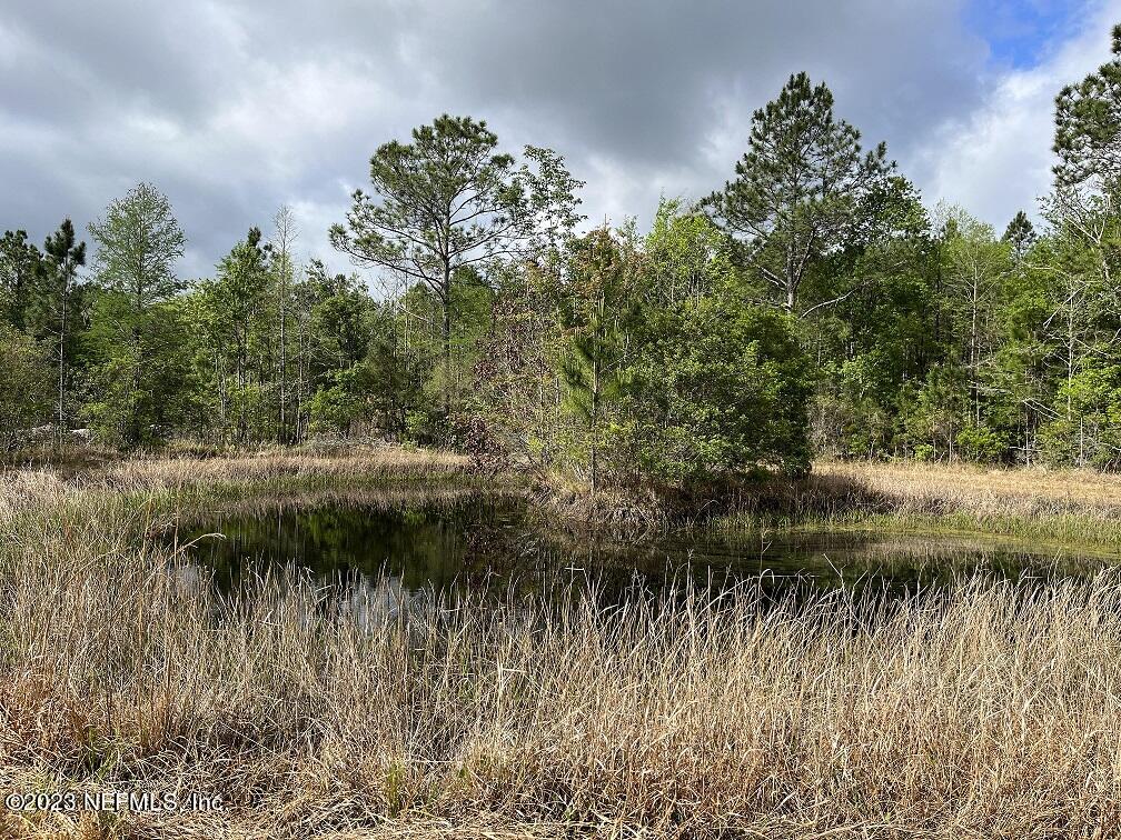 1370 Otis Road Jacksonville, FL 32220 - Photo 11 of 17 a view of a lake view