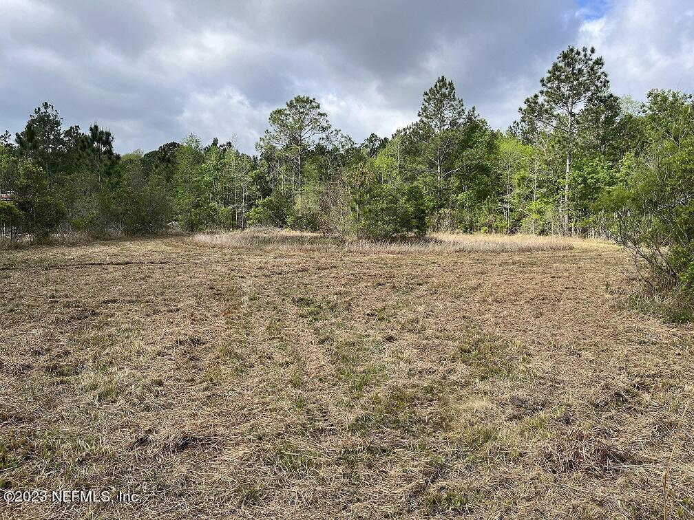 1370 Otis Road Jacksonville, FL 32220 - Photo 12 of 17 a view of a yard with a tree