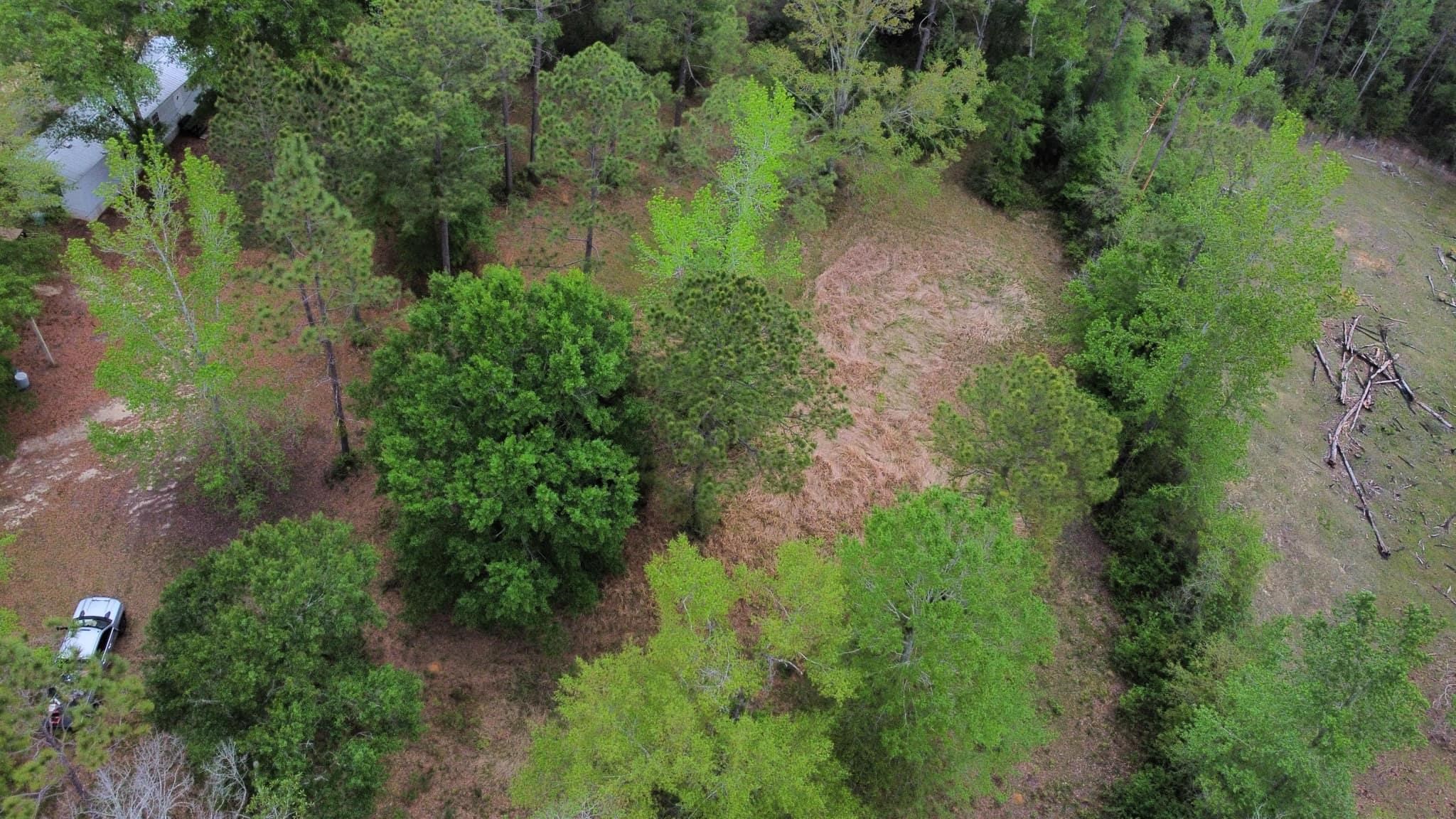 24407 Patterson Road Robertsdale, AL 36567 - Photo 16 of 18 Aerial View