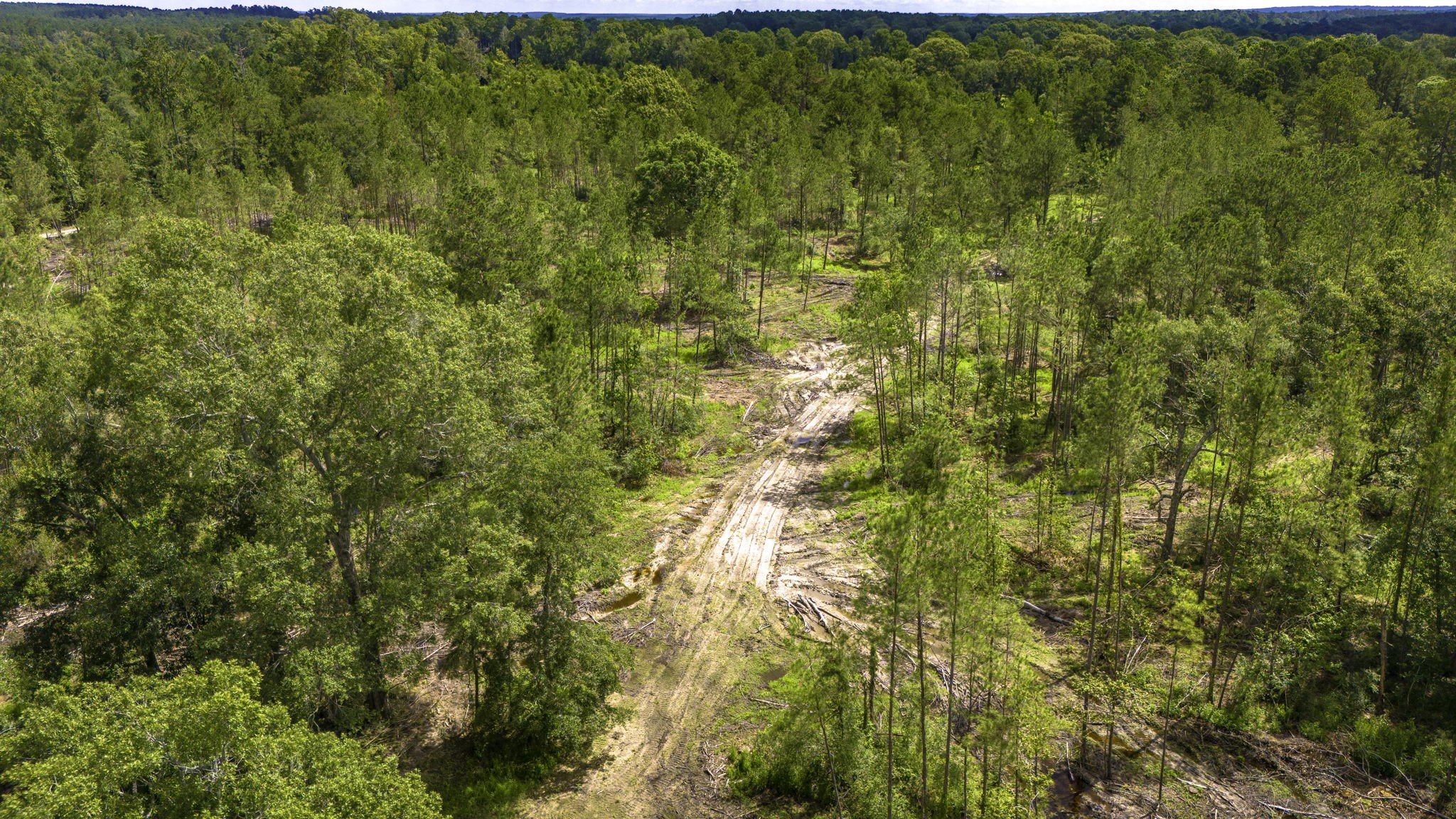 Tbd Lot 001 Tbd Road Moscow, TX 75960 - Photo 3 of 10