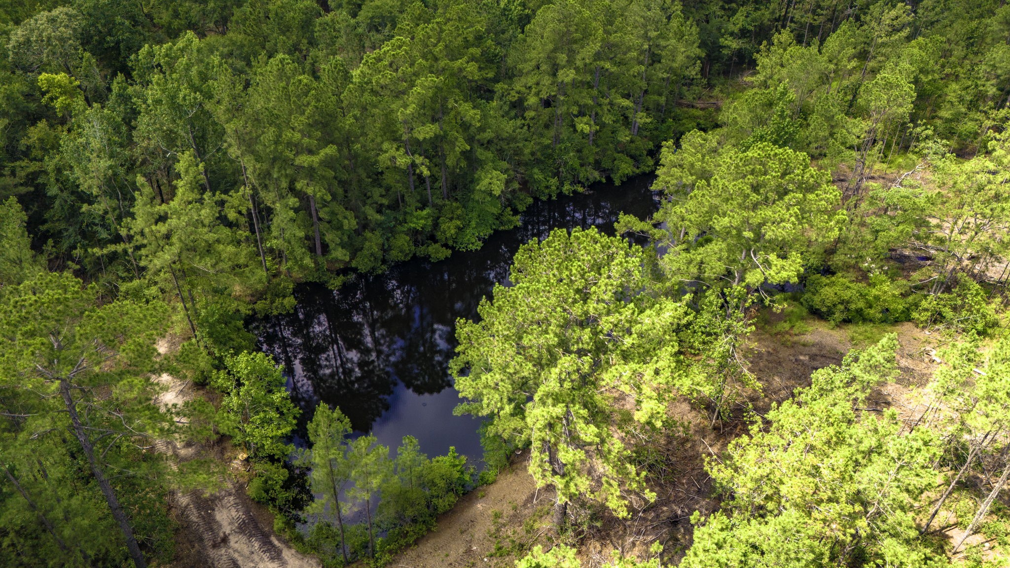 Tbd Lot 001 Tbd Road Moscow, TX 75960 - Photo 4 of 10 Pond