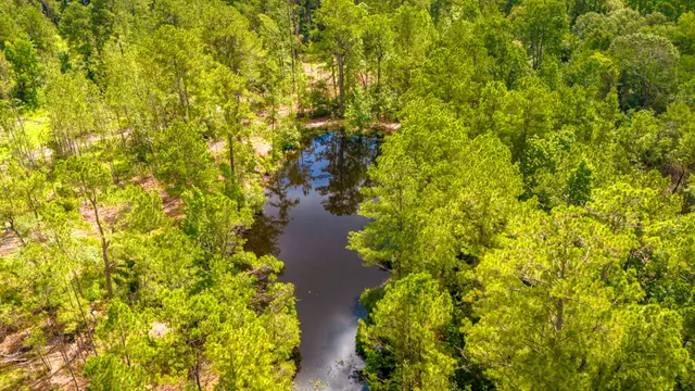a view of a city with an ocean
