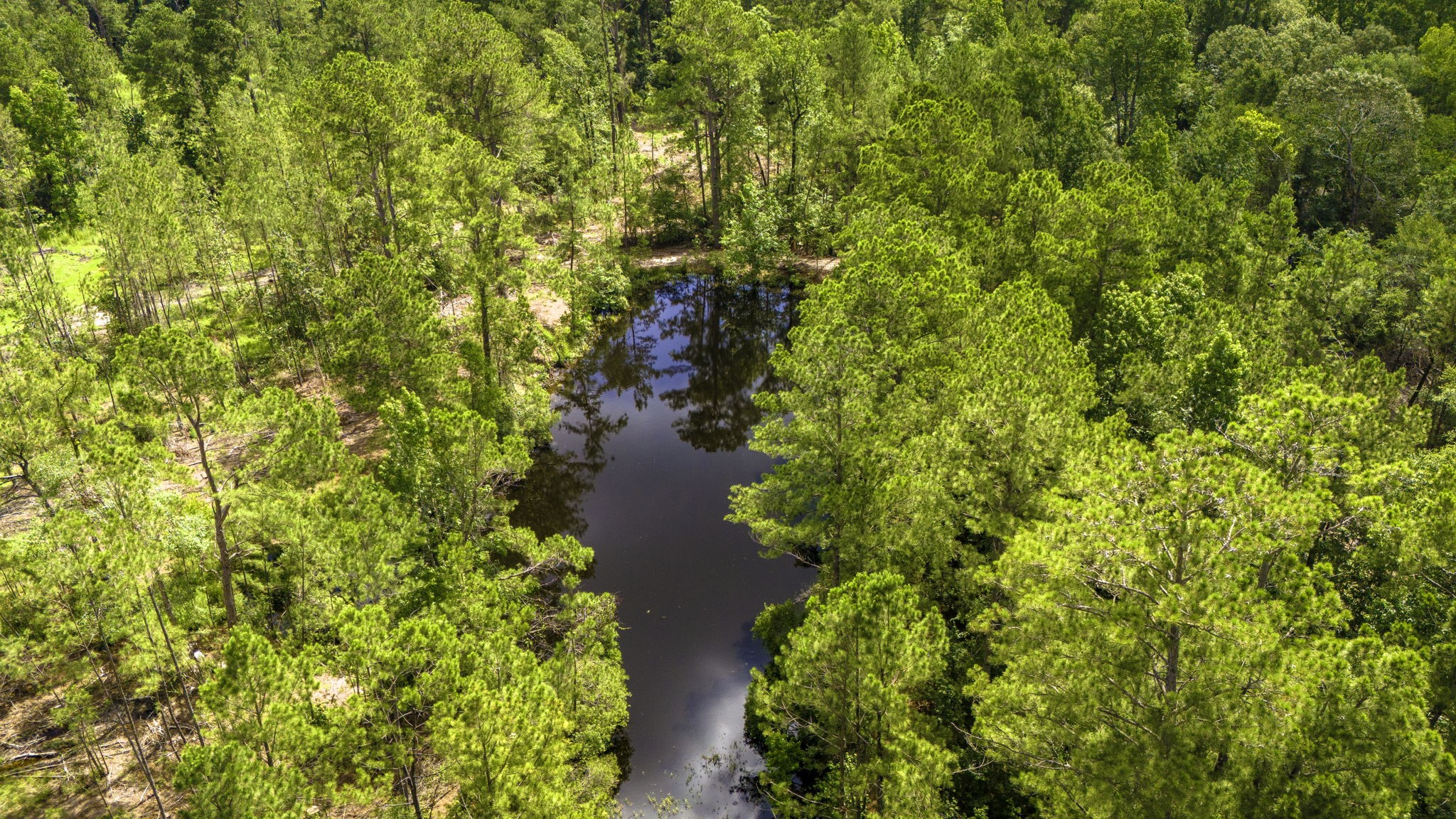 Tbd Lot 001 Tbd Road Moscow, TX 75960 - Photo 5 of 10