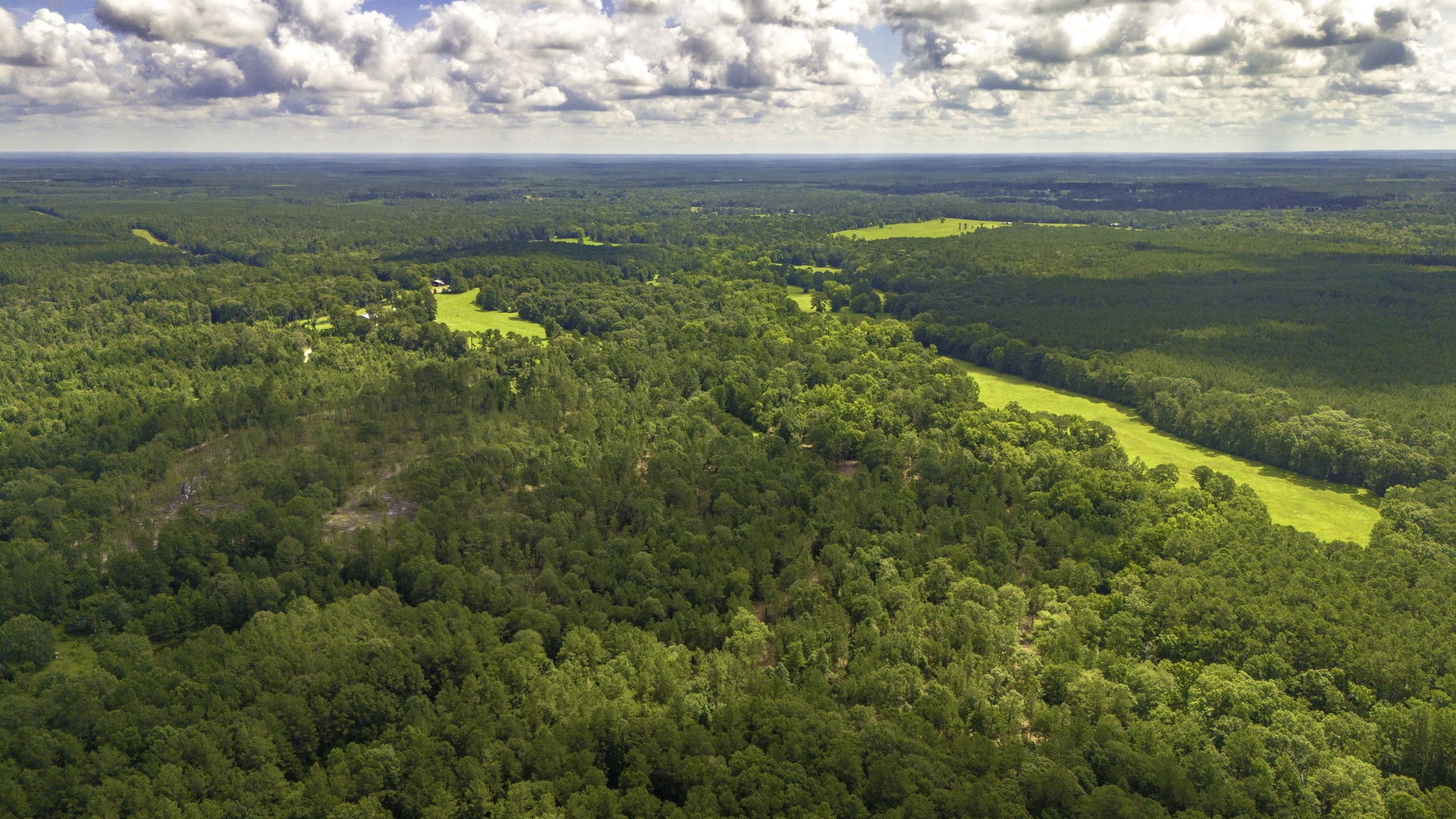 Tbd Lot 001 Tbd Road Moscow, TX 75960 - Photo 7 of 10