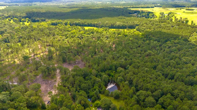 a view of a yard with swimming pool