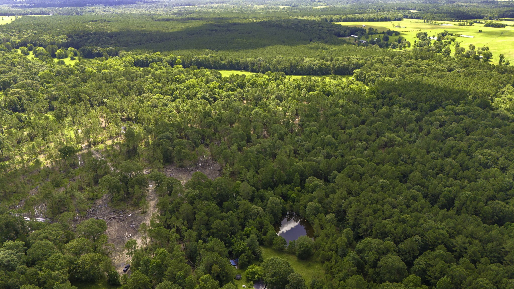 Tbd Lot 001 Tbd Road Moscow, TX 75960 - Photo 8 of 10