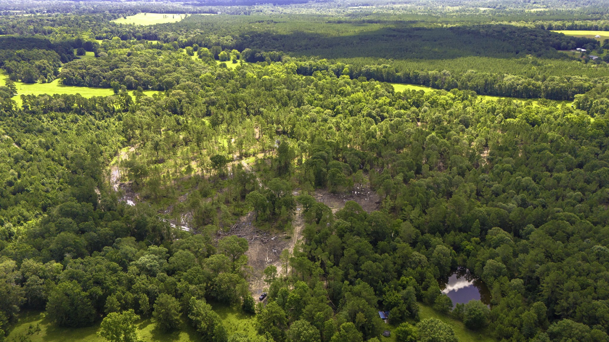 Tbd Lot 001 Tbd Road Moscow, TX 75960 - Photo 9 of 10