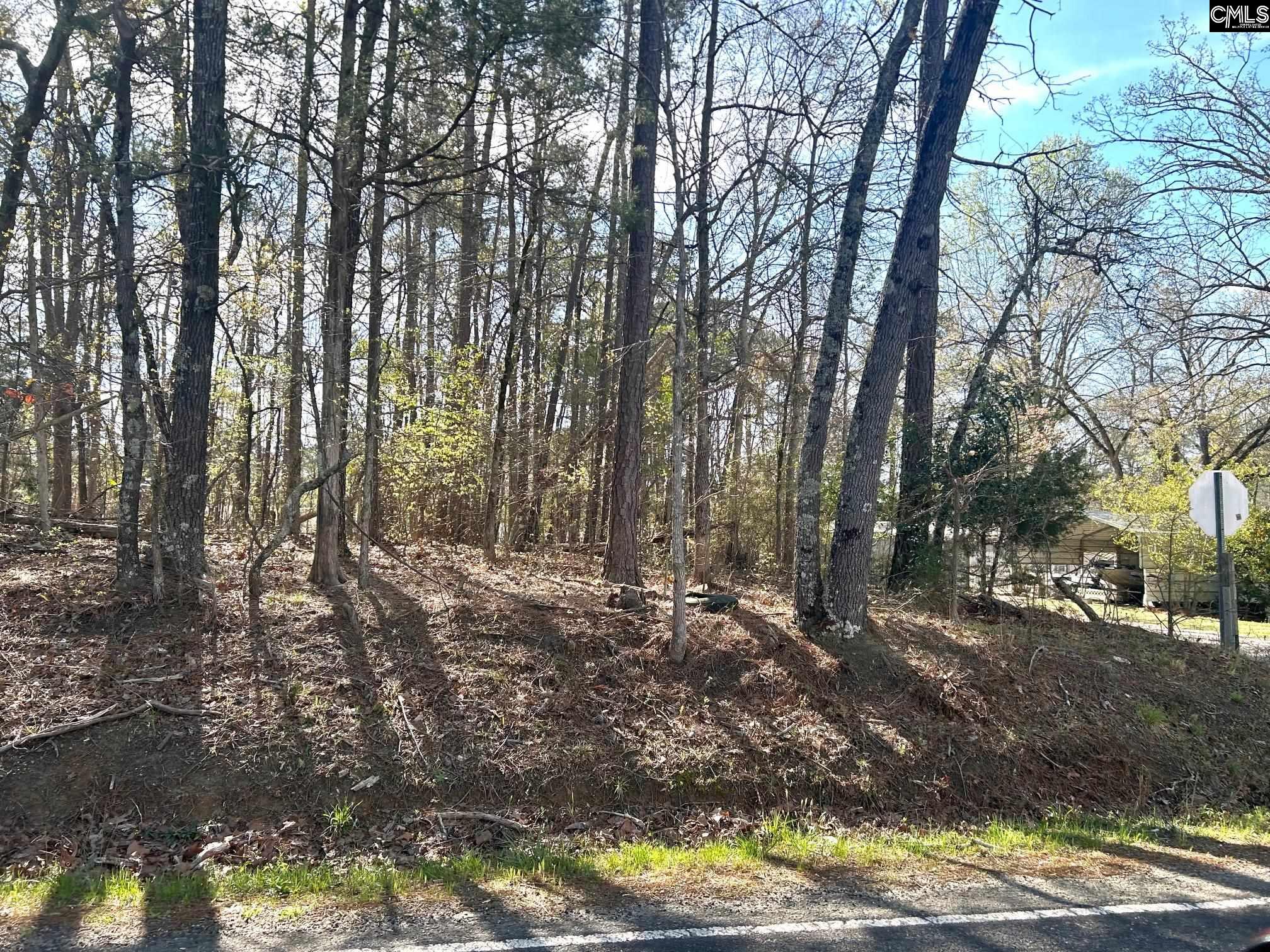 Holley Ferry Road Leesville, SC 29070 - Photo 1 of 8