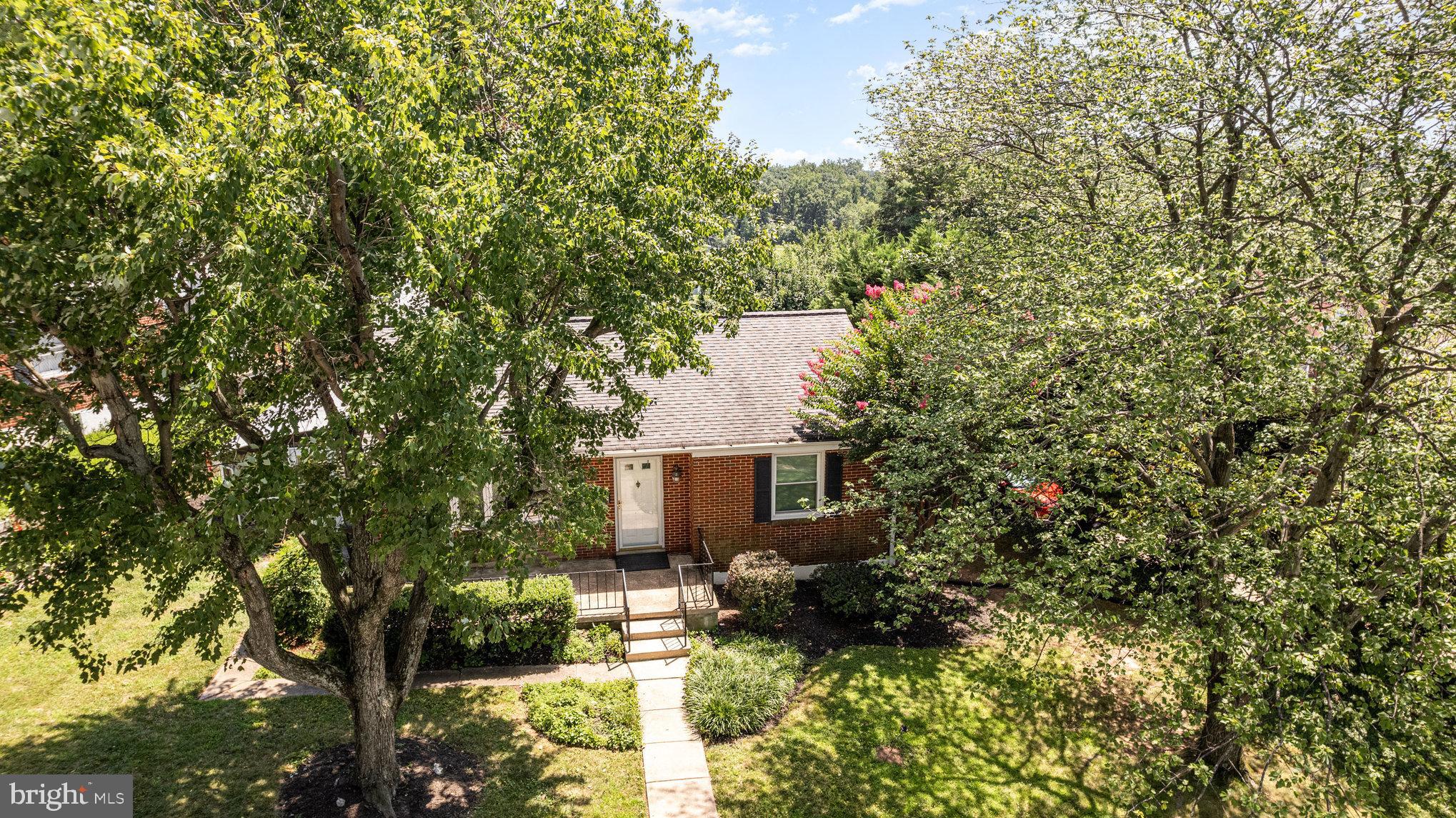 6301 Fieldvale Road Baltimore, MD 21237 - Photo 32 of 44 a view of backyard with potted plants and large tree