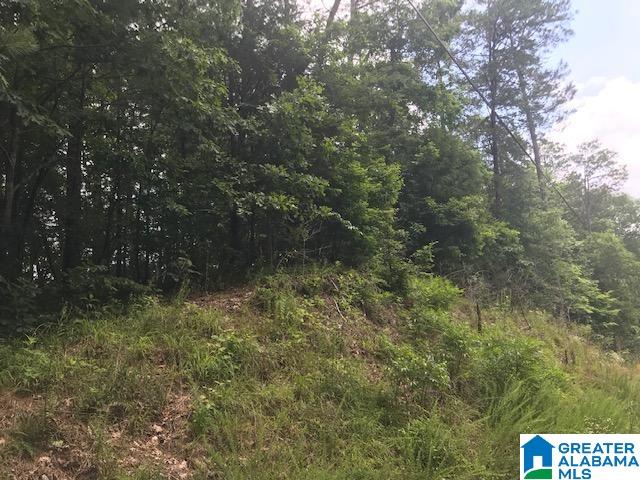 Mountain View Vance, AL 35490 - Photo 8 of 28