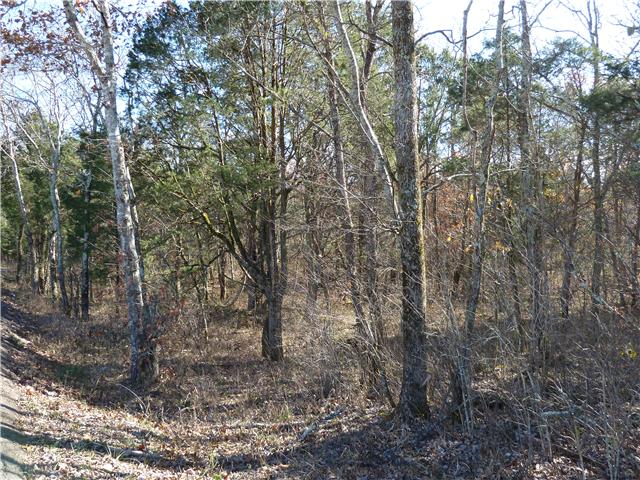 0 Patterson Hill Road Murfreesboro, TN 37129 - Photo 3 of 6 a view of forest