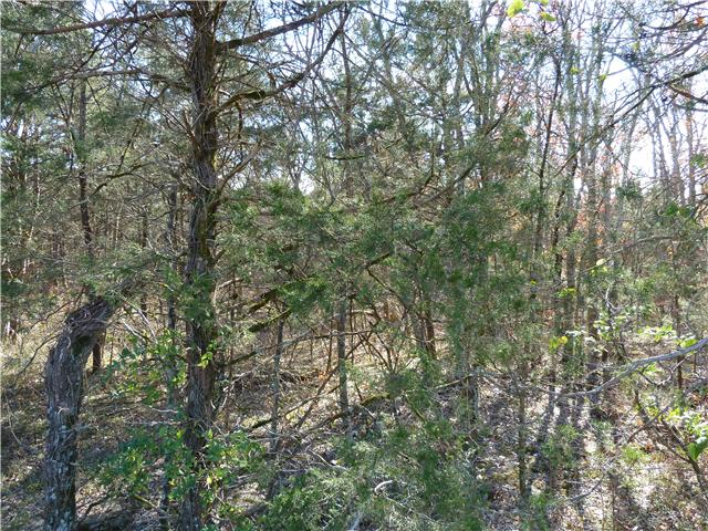 0 Patterson Hill Road Murfreesboro, TN 37129 - Photo 4 of 6 an outdoor space with lots of trees
