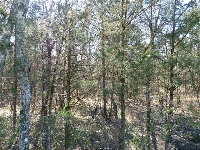 0 Patterson Hill Road Murfreesboro, TN 37129 - Photo 5 of 6