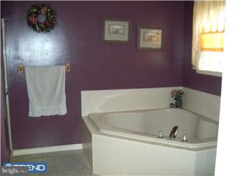 92 Schweitz Road Fleetwood, PA 19522 - Photo 8 of 12 Bathroom