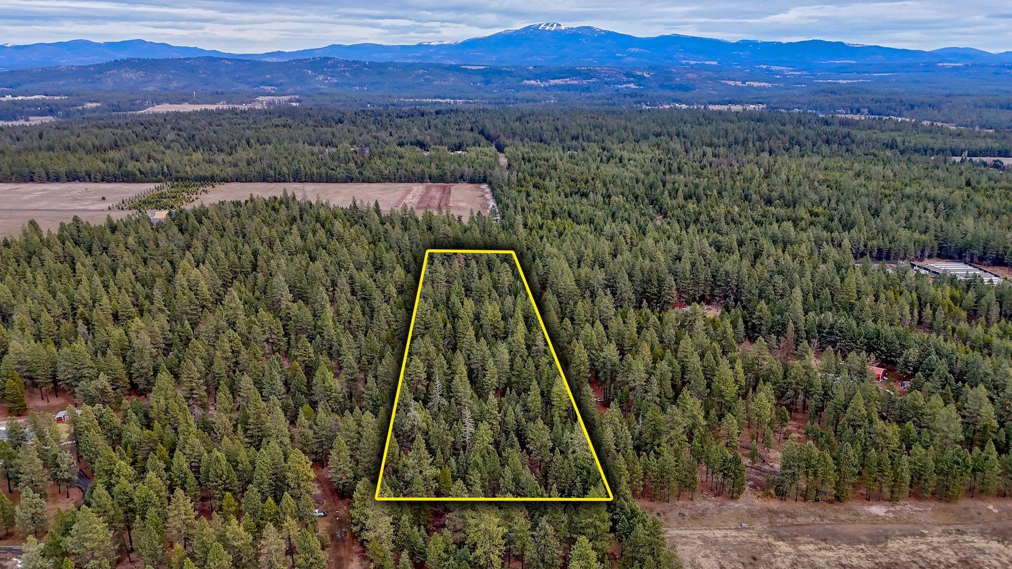 31912 North Division Road Deer Park, WA 99006 - Photo 13 of 13