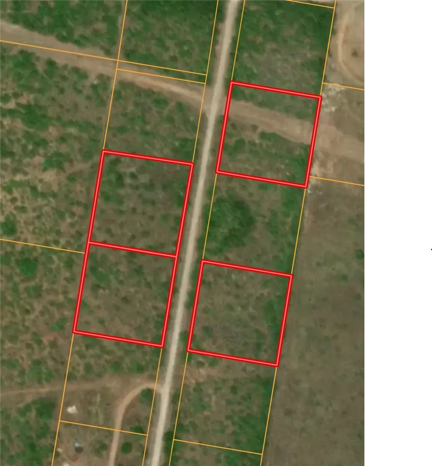 12 County Road 1431 Alice, TX 78384 - Photo 4 of 4