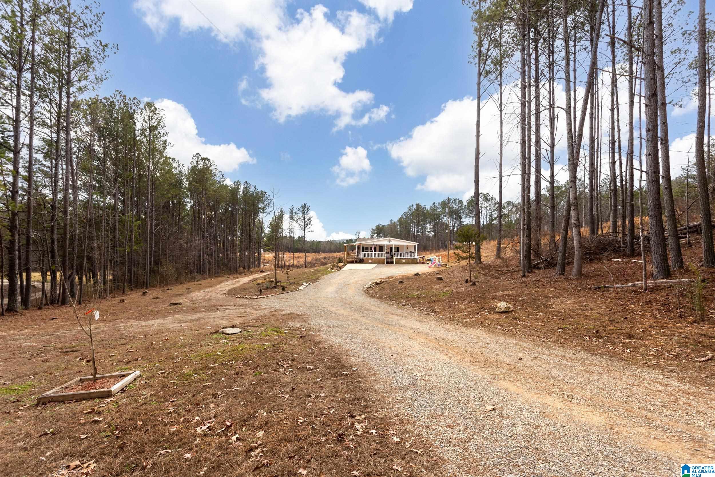2395 County Road 91 Fruithurst, AL 36262 - Photo 11 of 39