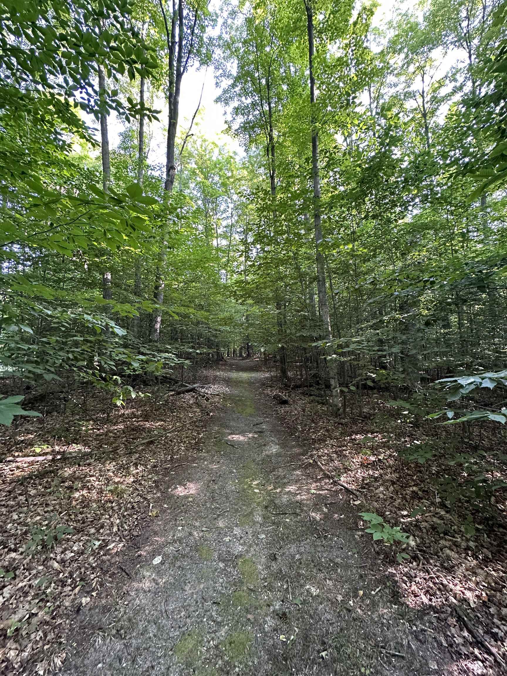 Timber Point Kingsley, MI 49649 - Photo 5 of 8 1918740-0E705FFD-382E-4D7B-A132-1A790A4B38D3.JPG