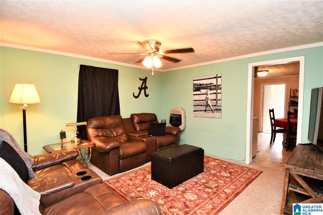 185 Crane Road Piedmont, AL 36272 - Photo 4 of 20