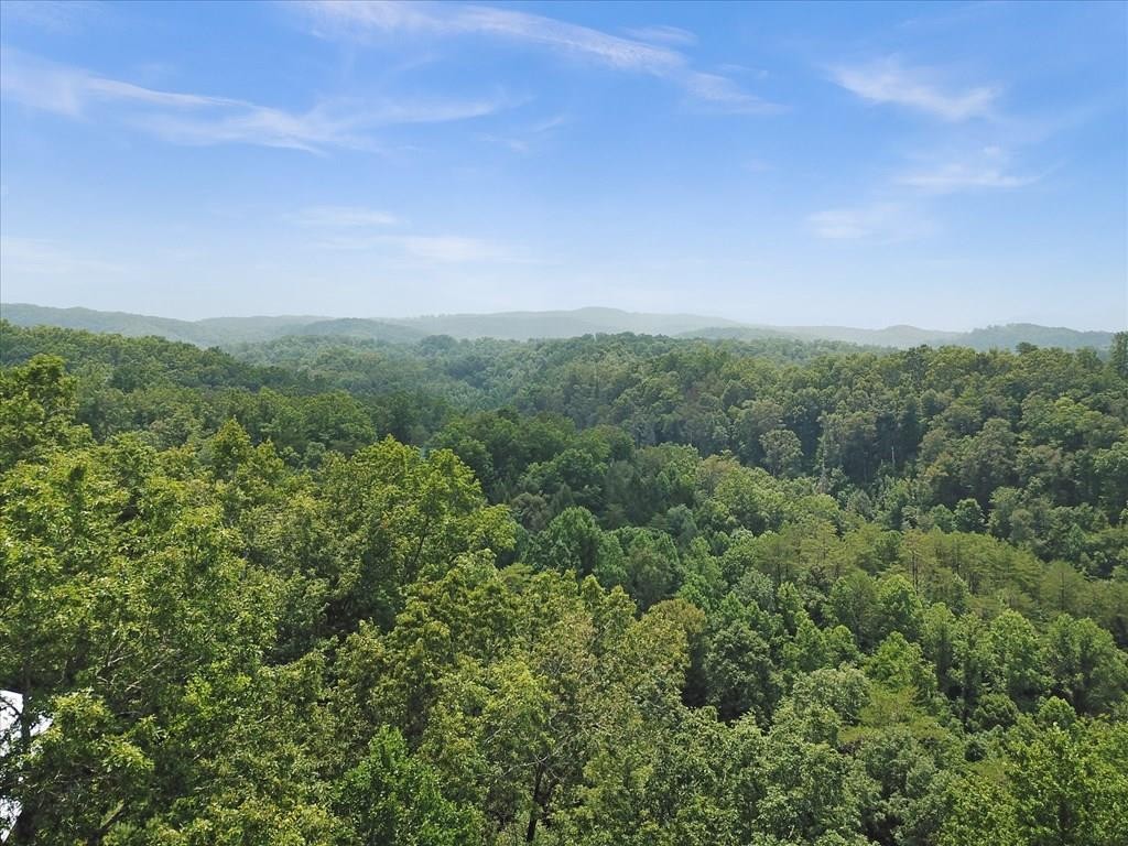 0 Ridgecrest Loop Lane Sevierville, TN 37876 - Photo 1 of 13 Gallery Image 1