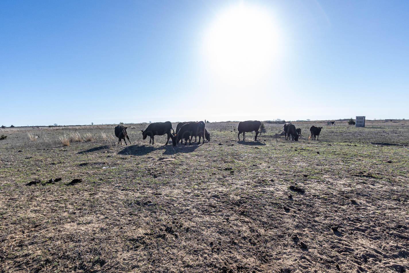 6643 Co Rd 7 Shamrock, TX 79079 - Photo 13 of 55 a view of a dry grass field