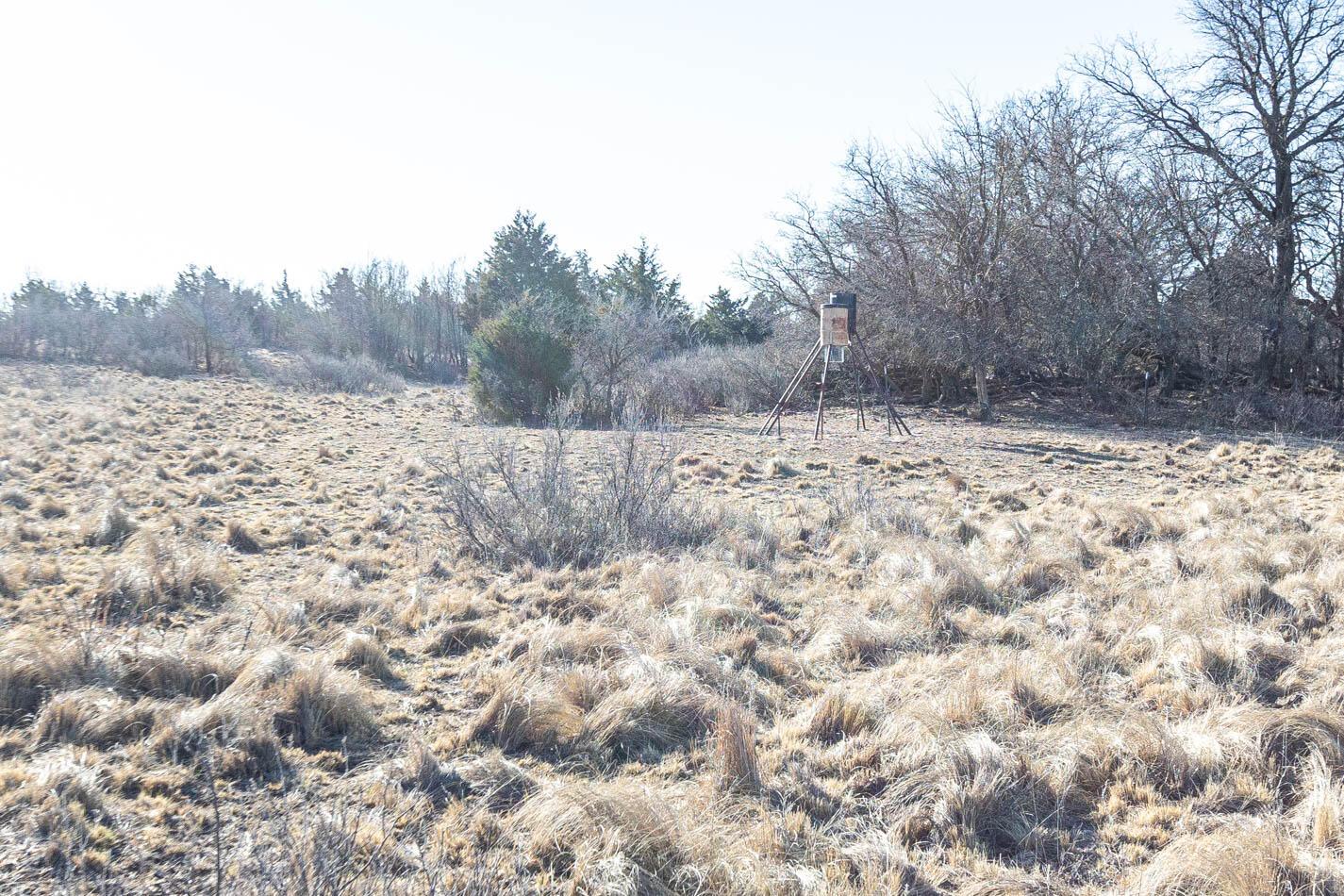 6643 Co Rd 7 Shamrock, TX 79079 - Photo 15 of 55 a view of a covered with snow in the background