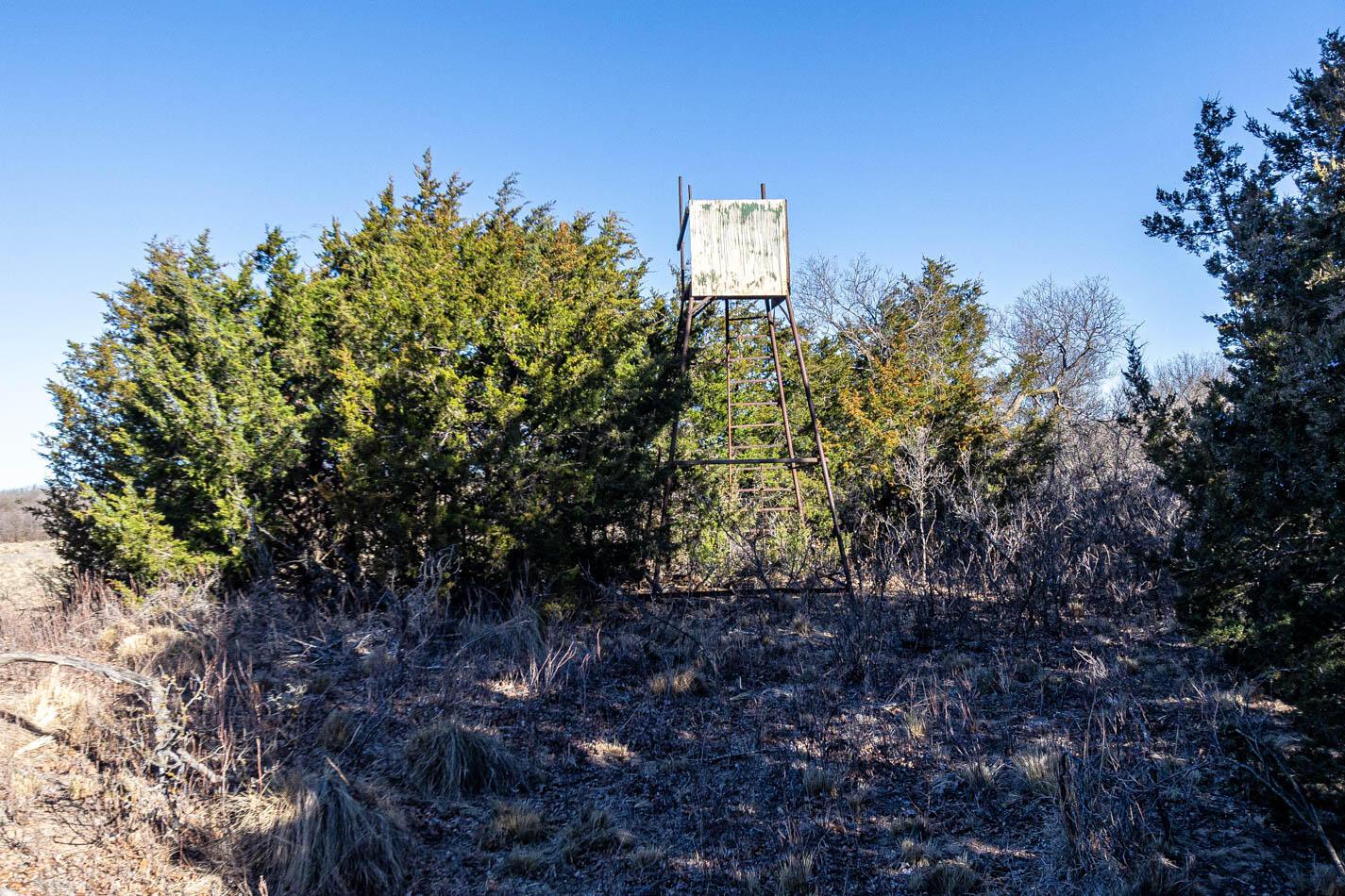 6643 Co Rd 7 Shamrock, TX 79079 - Photo 16 of 55 a view of a house with a tree