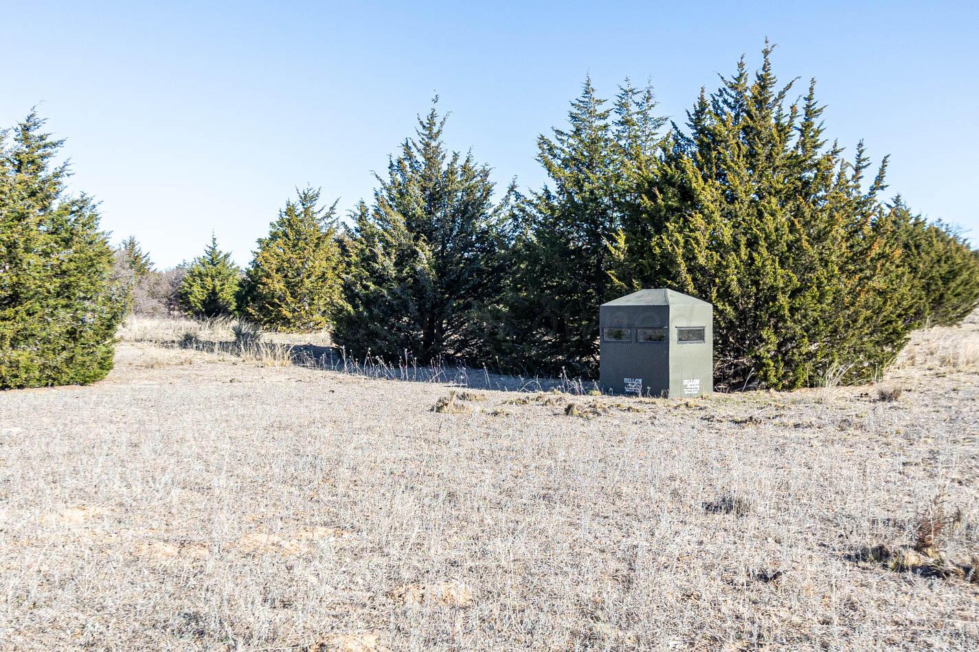 6643 Co Rd 7 Shamrock, TX 79079 - Photo 18 of 55 a wooden bench sitting in middle of a yard