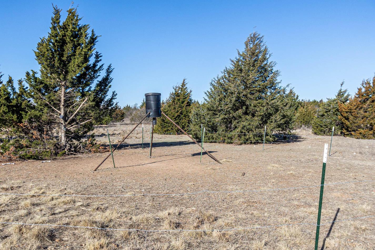 6643 Co Rd 7 Shamrock, TX 79079 - Photo 22 of 55 a view of outdoor space with trees