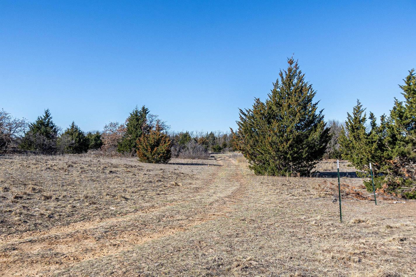6643 Co Rd 7 Shamrock, TX 79079 - Photo 23 of 55 a view of a dry yard with trees