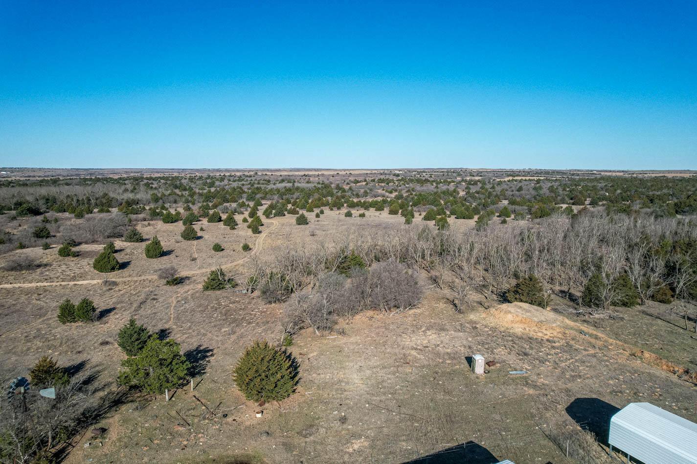 6643 Co Rd 7 Shamrock, TX 79079 - Photo 24 of 55 a view of a dry yard with lots of trees