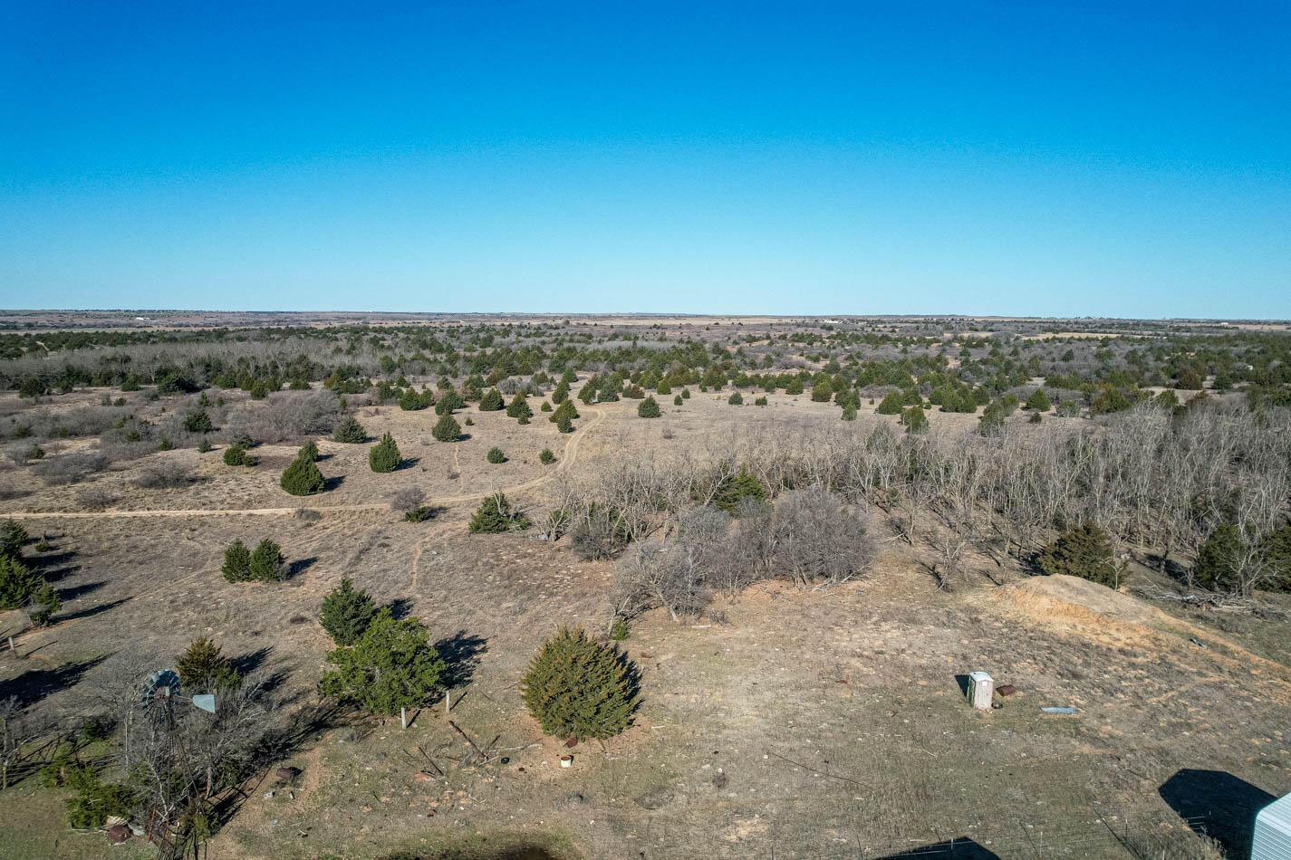 6643 Co Rd 7 Shamrock, TX 79079 - Photo 3 of 55 a view of a yard