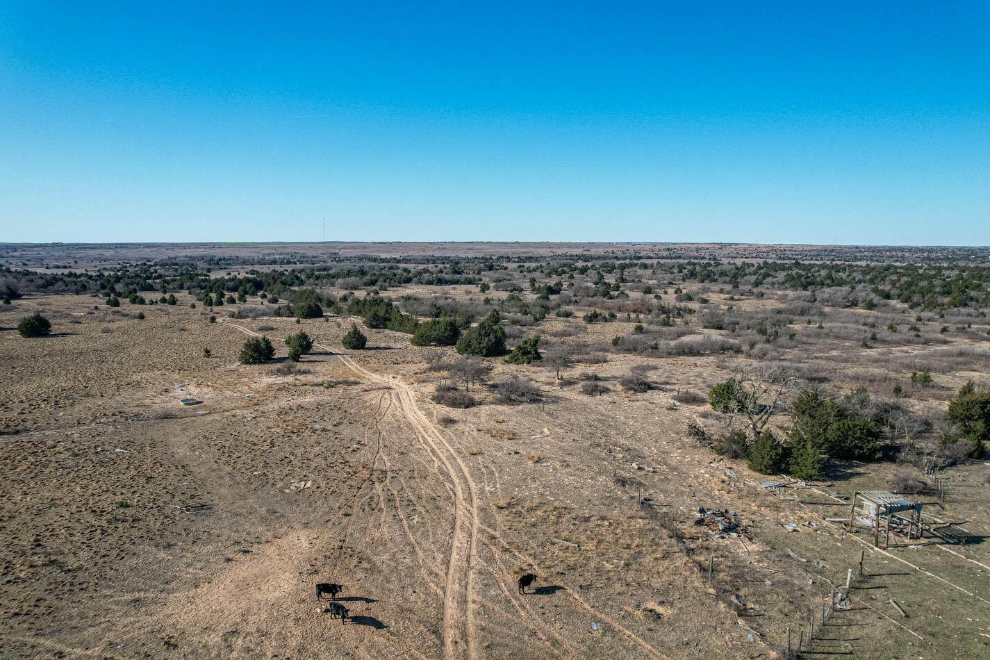 6643 Co Rd 7 Shamrock, TX 79079 - Photo 31 of 55 a view of a dry yard with trees