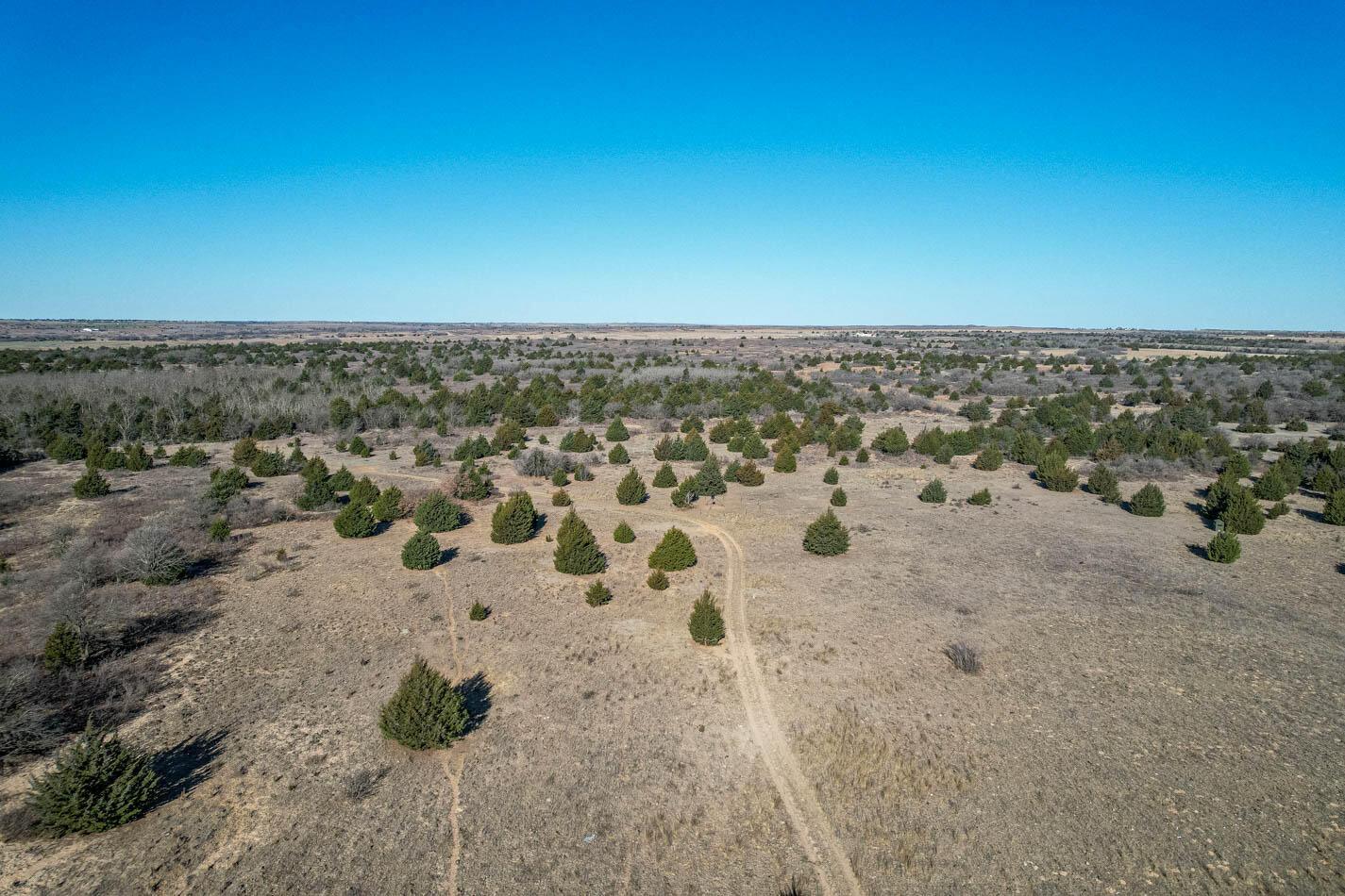 6643 Co Rd 7 Shamrock, TX 79079 - Photo 35 of 55 img (36 of 54)