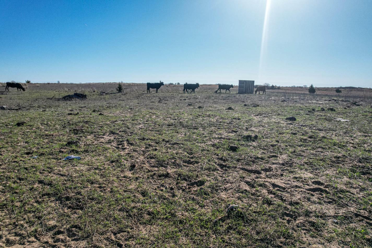 6643 Co Rd 7 Shamrock, TX 79079 - Photo 36 of 55