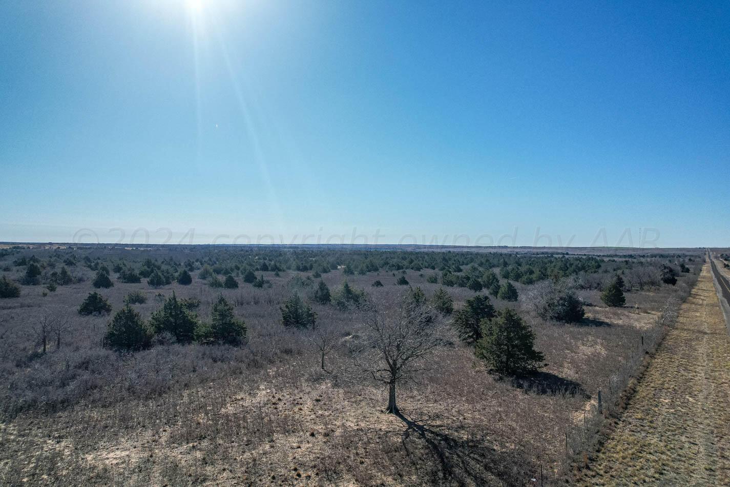 6643 Co Rd 7 Shamrock, TX 79079 - Photo 45 of 55 a view of a dry yard with trees in the background