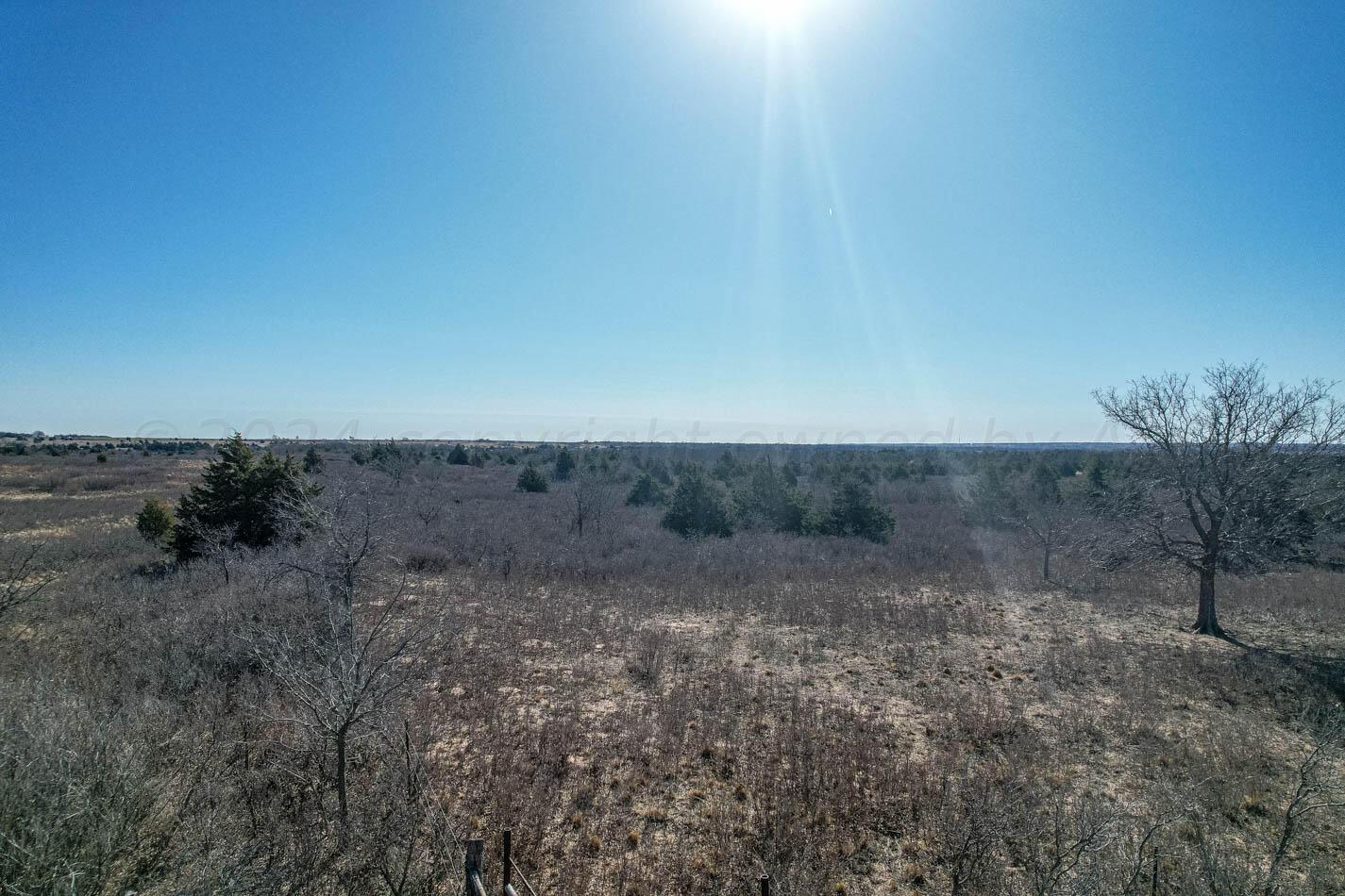 6643 Co Rd 7 Shamrock, TX 79079 - Photo 47 of 55 a view of a dry yard with trees