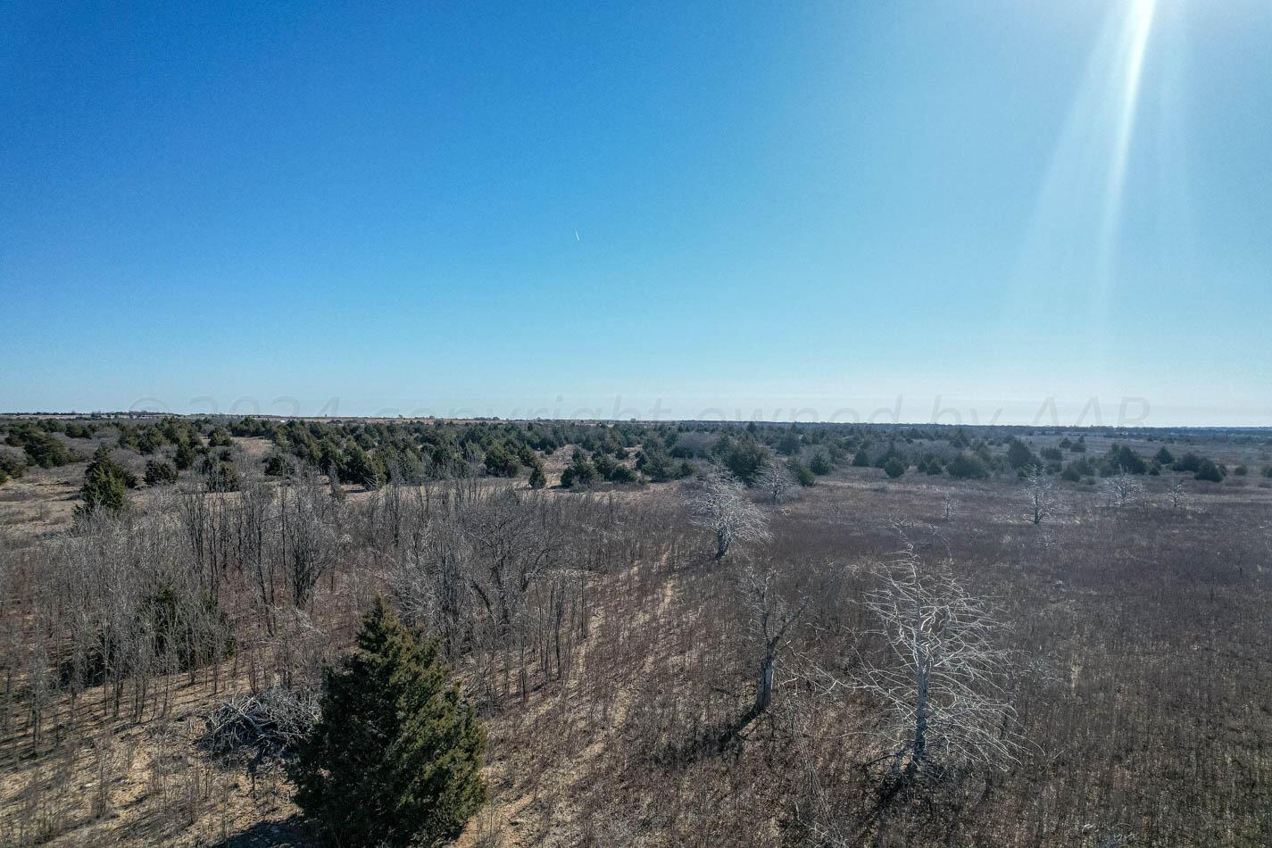 6643 Co Rd 7 Shamrock, TX 79079 - Photo 48 of 55 a view of a dry yard with trees
