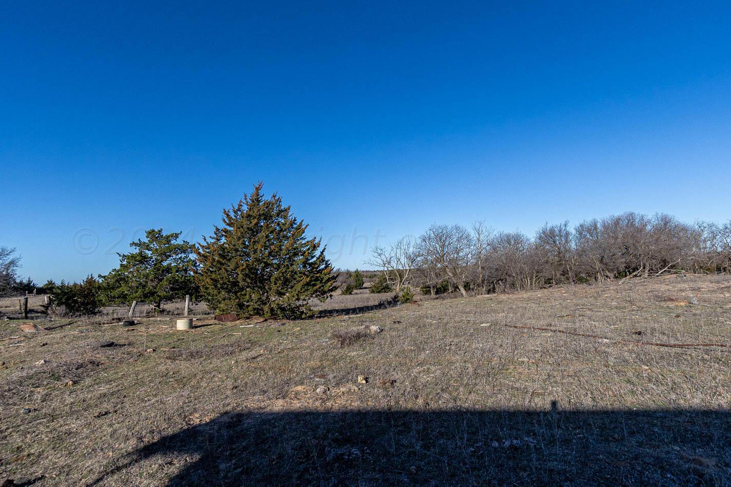 6643 Co Rd 7 Shamrock, TX 79079 - Photo 5 of 55 a view of dirt field with trees in background
