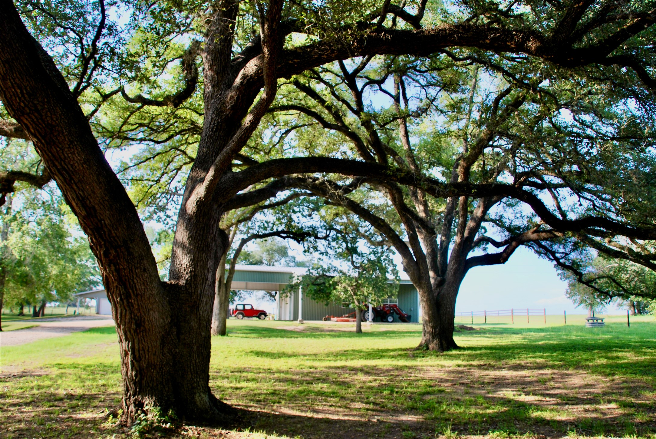 3545 East I- 10 Frontage Road Schulenburg, TX 78956 - Photo 10 of 40 a view of a trees in a yard with large trees