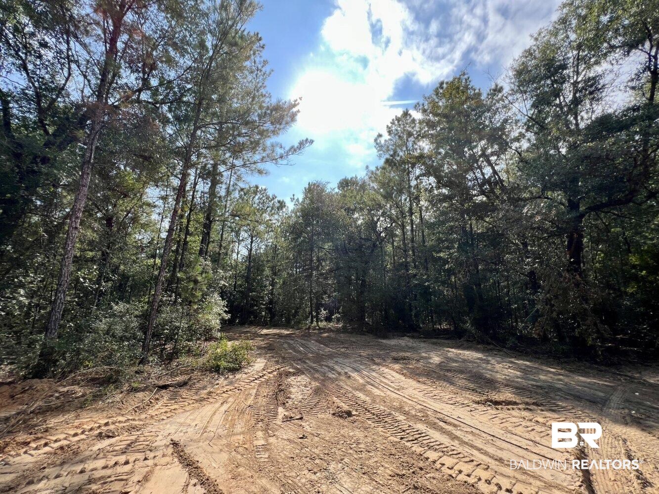 0 Bear Fork Road Mobile, AL 36618 - Photo 18 of 50